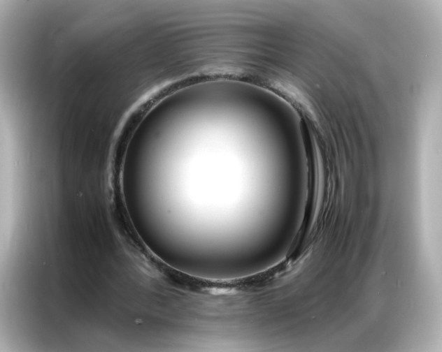 X0000086920388200704301101