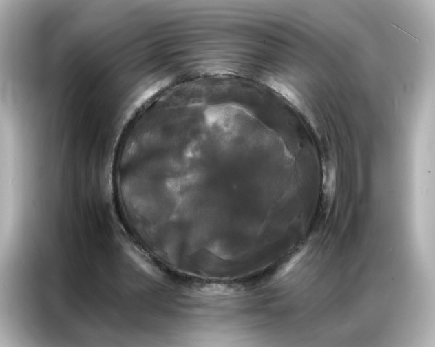 X0000086920390200704301101