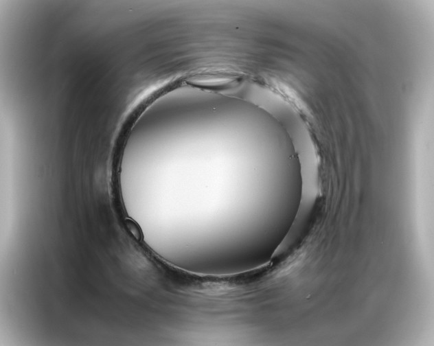 X0000086920391200704301101