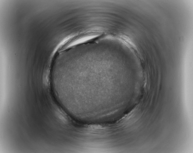 X0000086920392200704301101