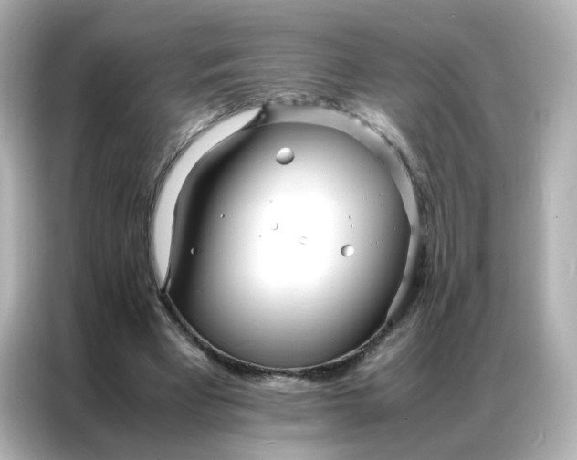 X0000086920393200704301101