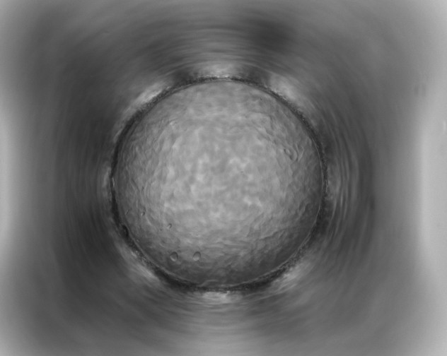X0000086920394200704301101