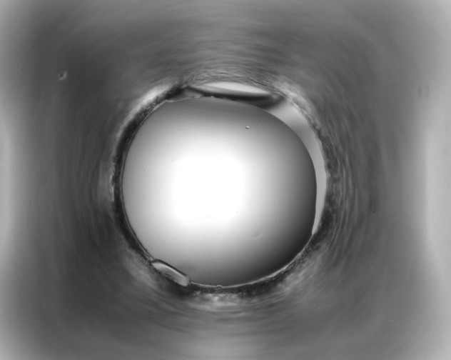 X0000086920395200704301101