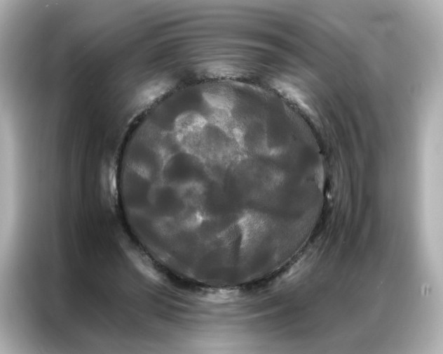 X0000086920398200704301101