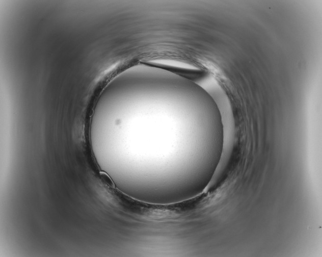 X0000086920399200704301101