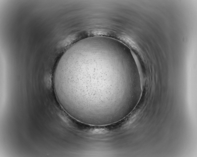X0000086920401200704301101