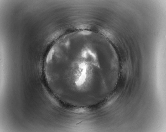 X0000086920402200704301101