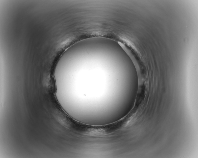 X0000086920403200704301101