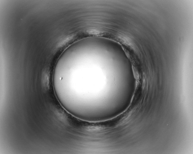 X0000086920404200704301101
