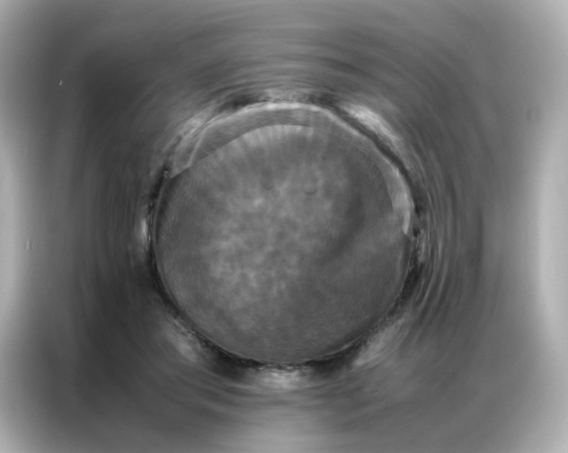 X0000086920405200704301101