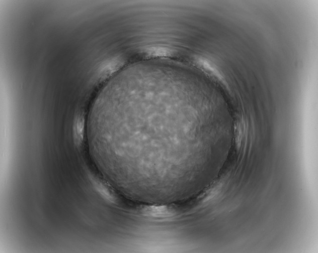 X0000086920406200704301101