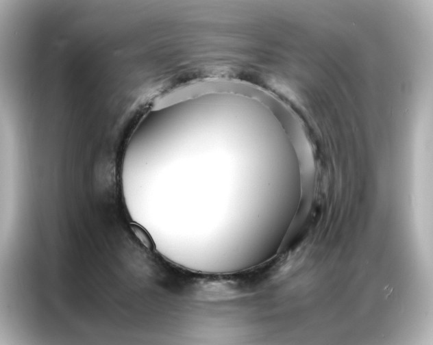 X0000086920407200704301101
