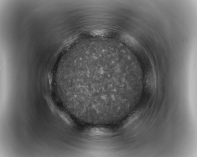 X0000086920408200704301101