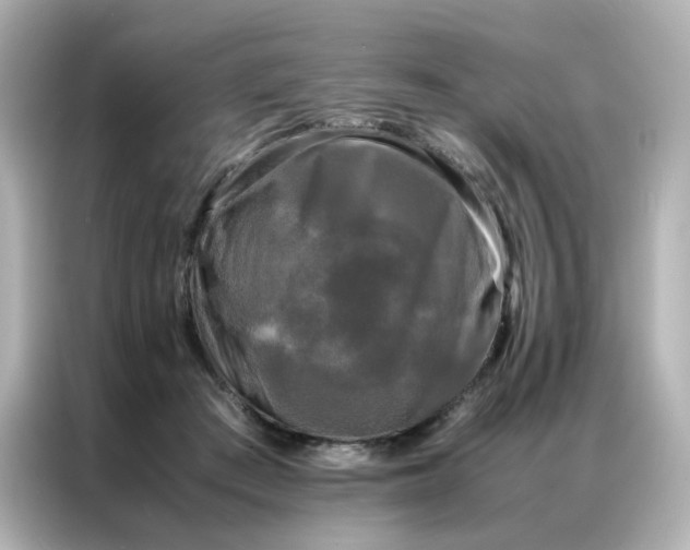 X0000086920409200704301101