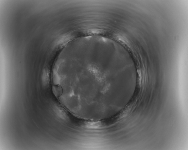 X0000086920410200704301101