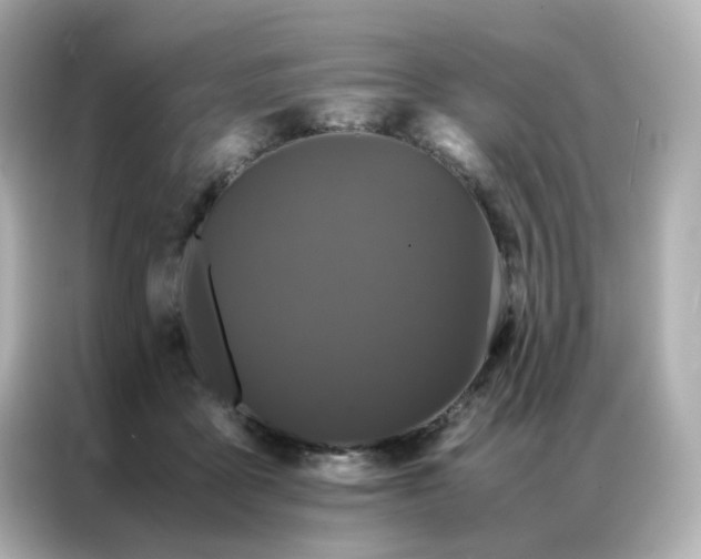 X0000086920411200704301101