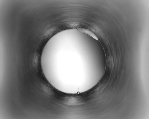 X0000086920412200704301101