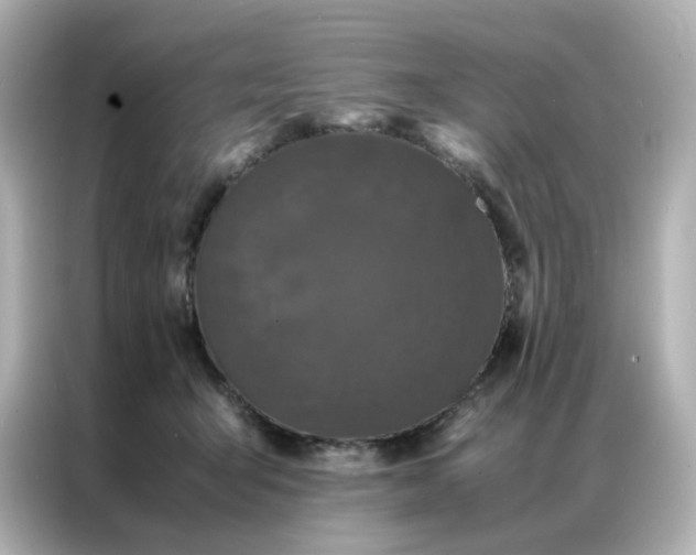 X0000086920415200704301101