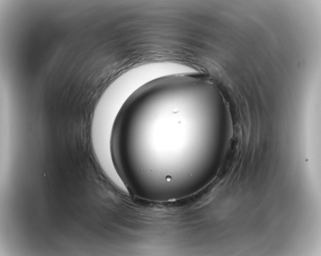 X0000086920416200704301101