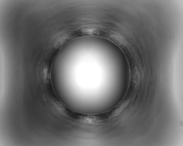X0000086920420200704301101