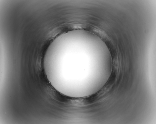 X0000086920422200704301101