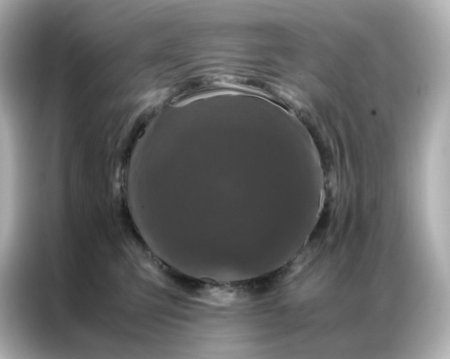 X0000086920423200704301101