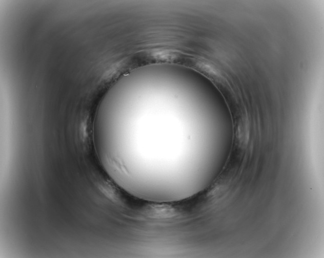 X0000086920424200704301101