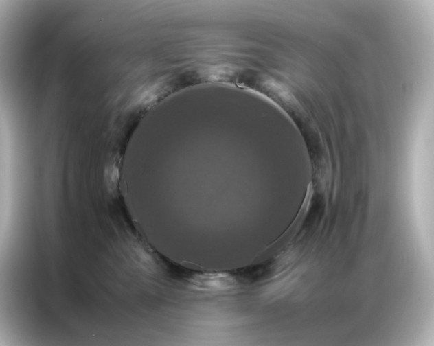X0000086920427200704301101