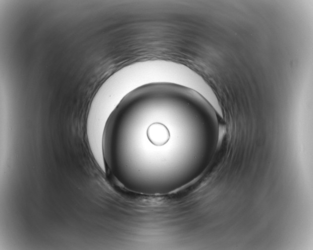 X0000086920428200704301101