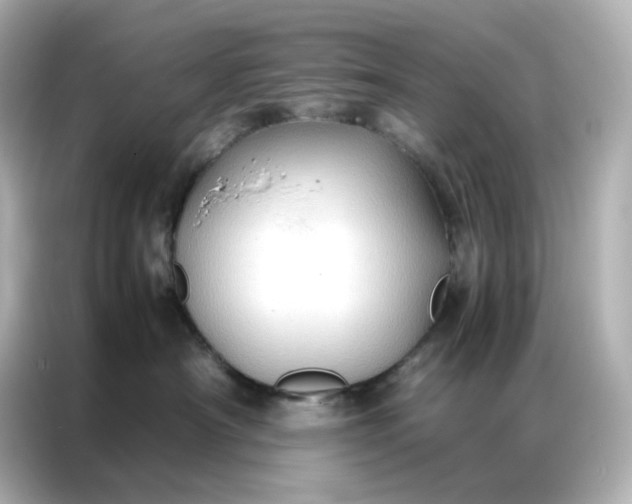 X0000086920430200704301101