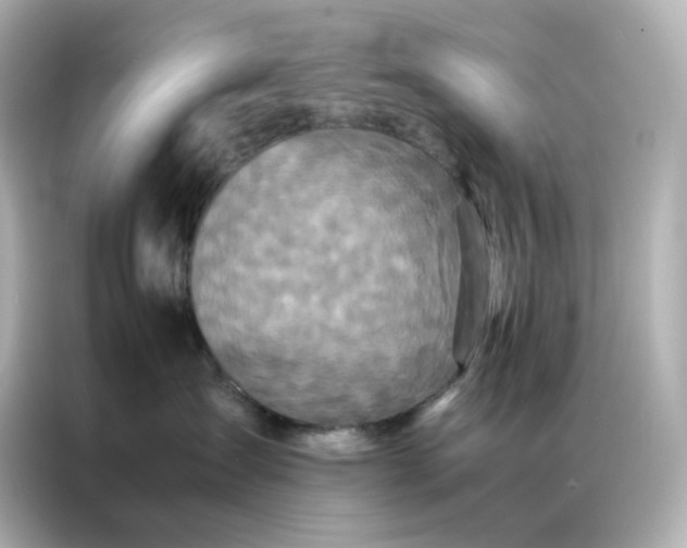X0000086920431200704301101