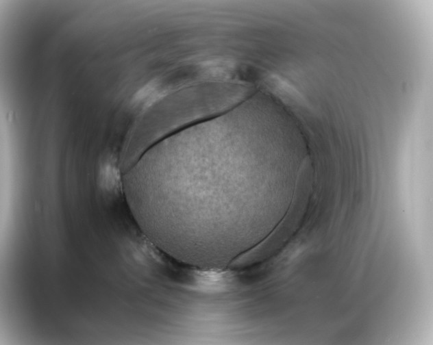 X0000086920432200704301101