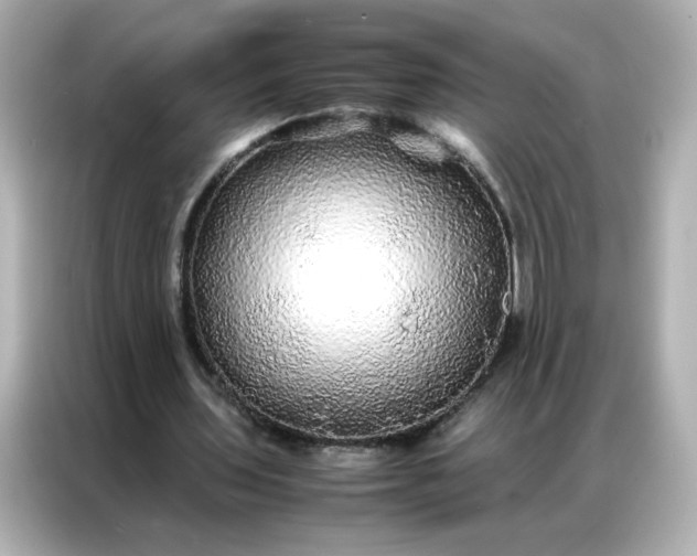 X0000086920435200704301100