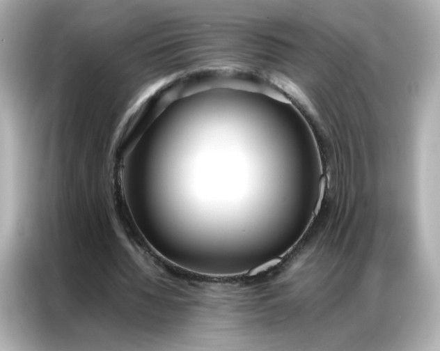 X0000086920436200704301100