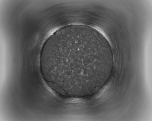 X0000086920437200704301100