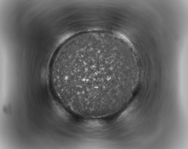 X0000086920439200704301100