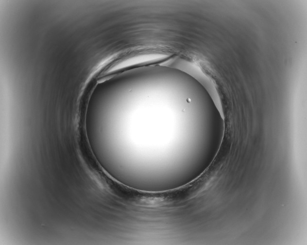 X0000086920440200704301100