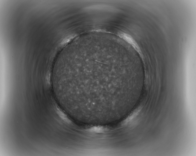 X0000086920441200704301100