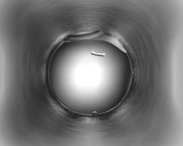 X0000086920442200704301100
