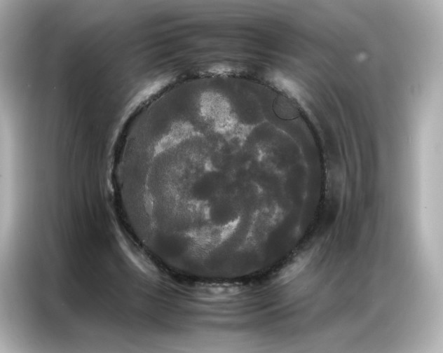 X0000086920443200704301100