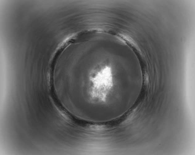 X0000086920444200704301100