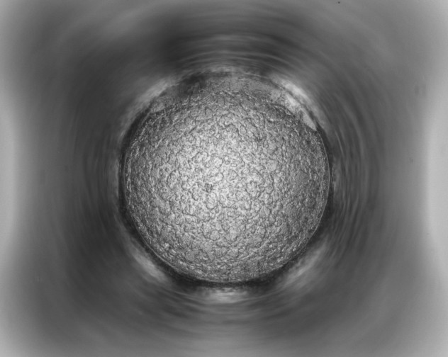 X0000086920445200704301100