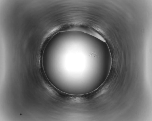 X0000086920446200704301100