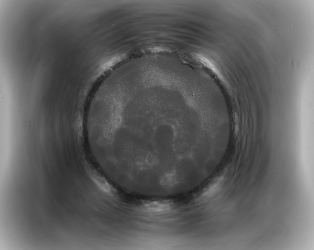 X0000086920447200704301100