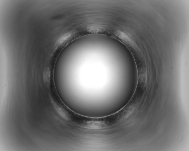 X0000086920448200704301100