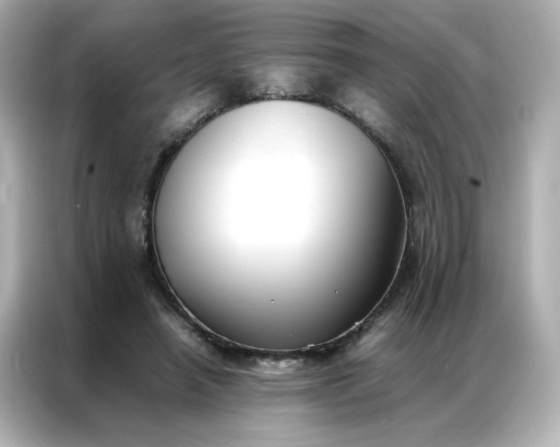X0000086920450200704301100