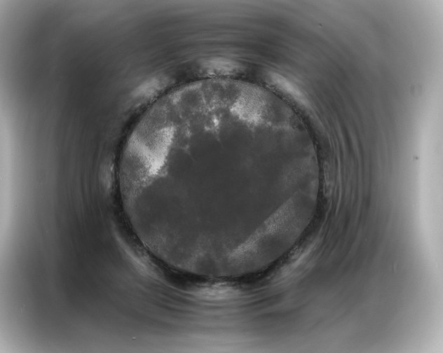 X0000086920451200704301100