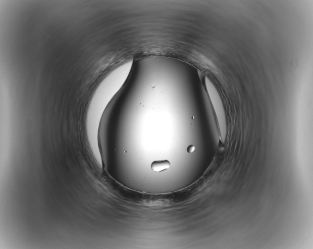 X0000086920452200704301100