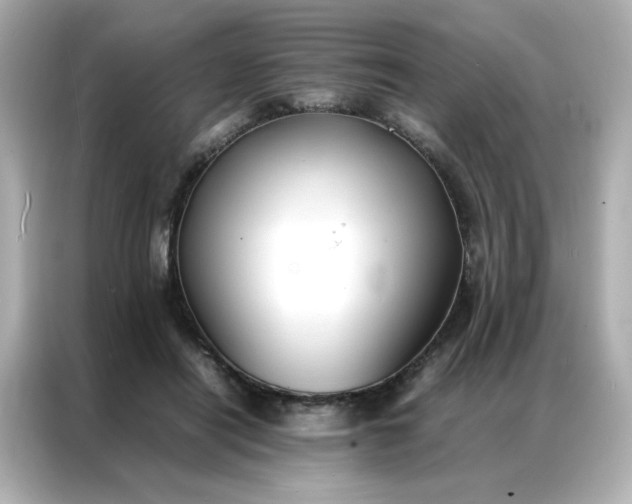 X0000086920454200704301100