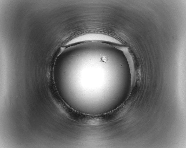 X0000086920456200704301100